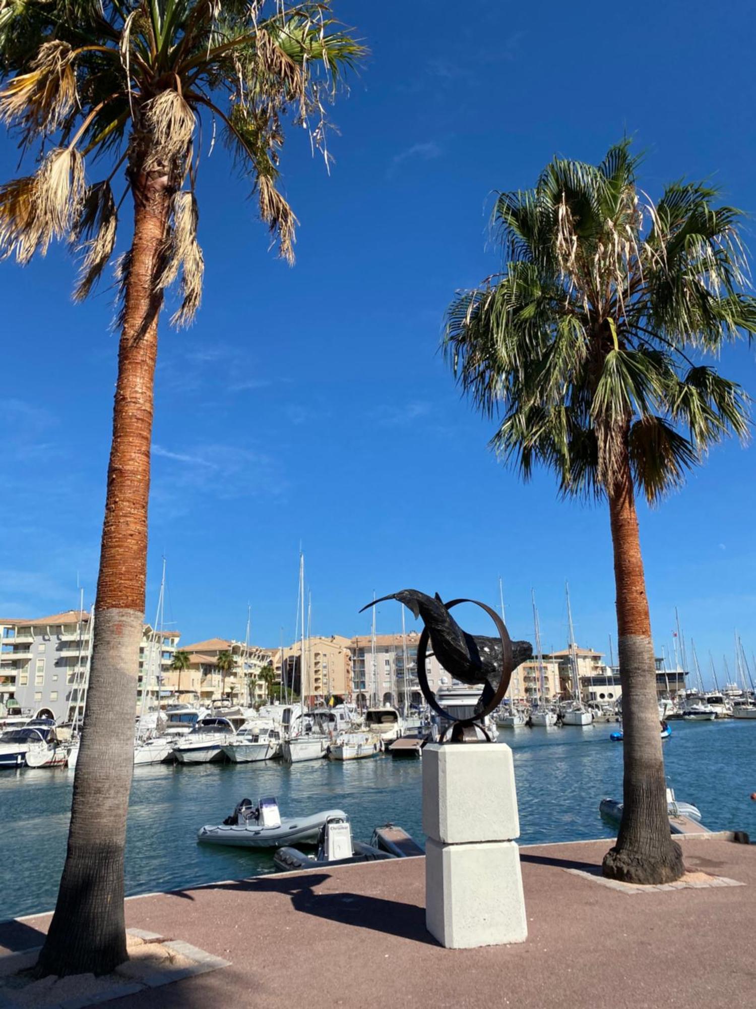 Chez Virginie : Appartement Lumineux Au Calme. Fréjus Zewnętrze zdjęcie